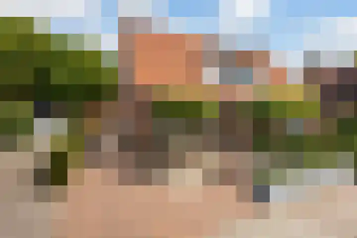 Hogewal 33 Ermelo thumbnail 55