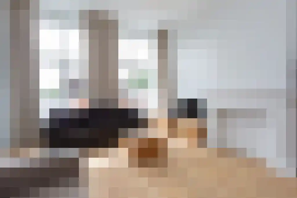 Hogewal 7 A Den Haag thumbnail 4