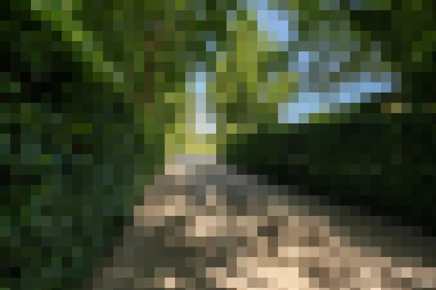 Hogewaldseweg 1 Groesbeek thumbnail 35