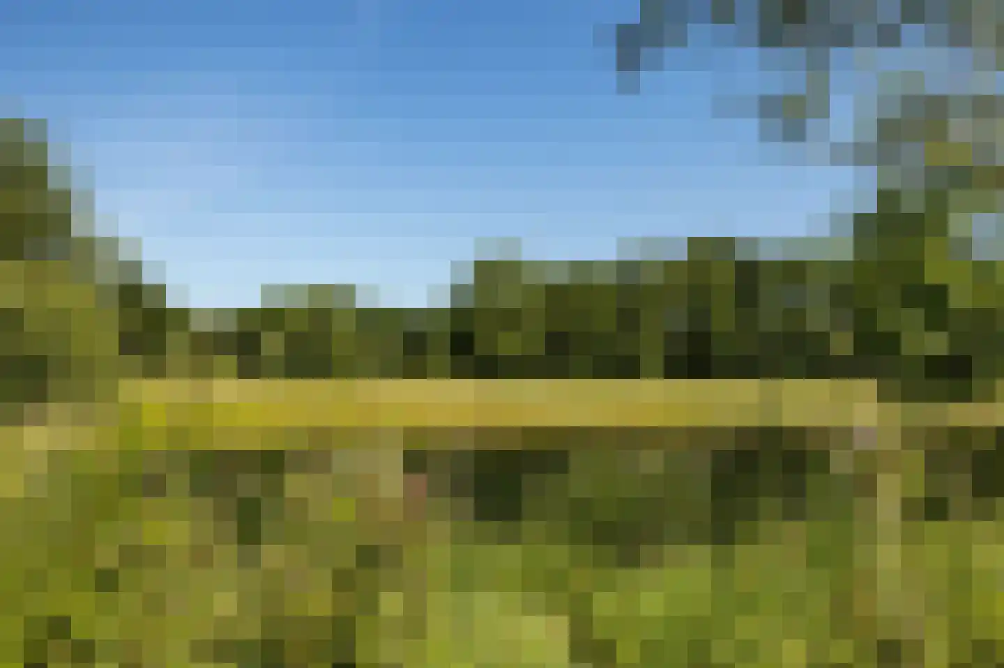 Hogewaldseweg 1 Groesbeek thumbnail 38