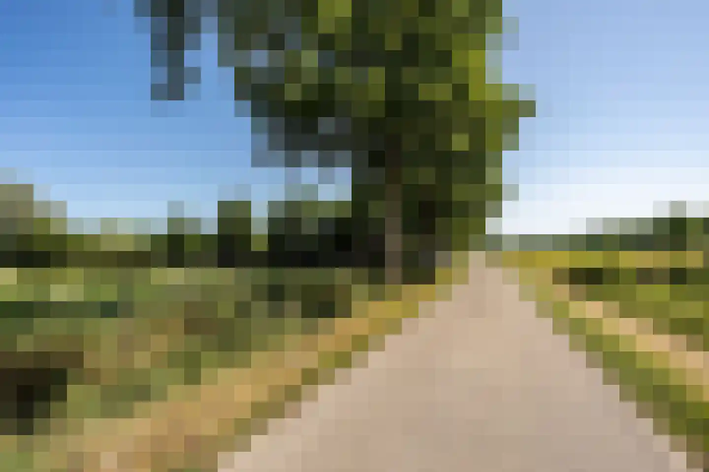 Hogewaldseweg 1 Groesbeek thumbnail 42