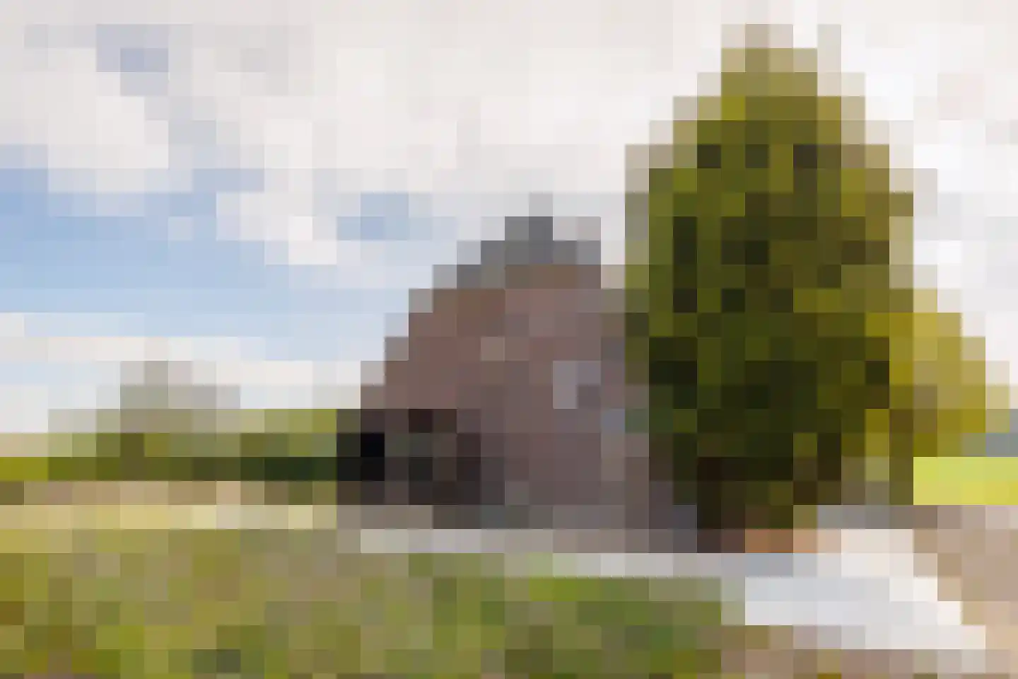 Hogewaldseweg 15 Groesbeek thumbnail 36