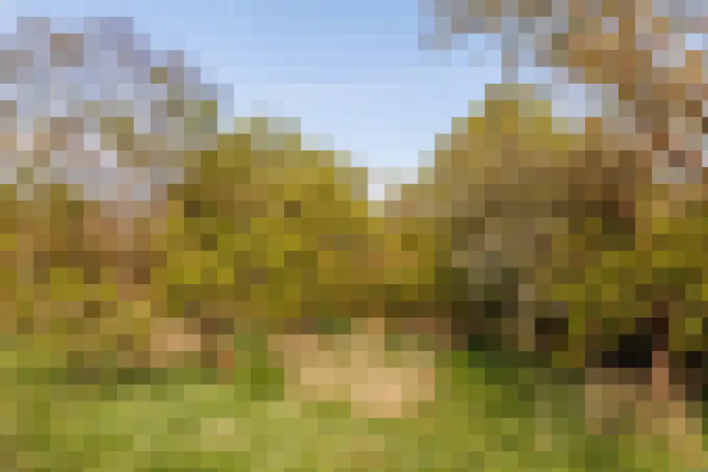 Hogewaldseweg 15 Groesbeek thumbnail 37