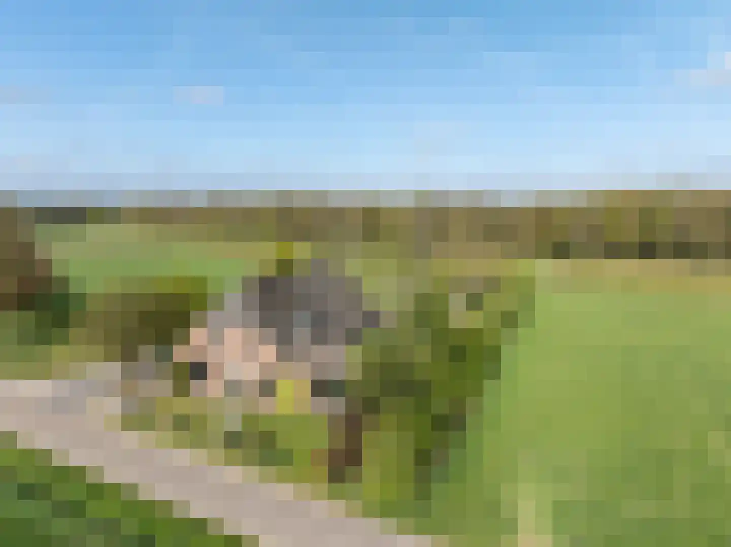 Hogewaldseweg 15 Groesbeek thumbnail 43
