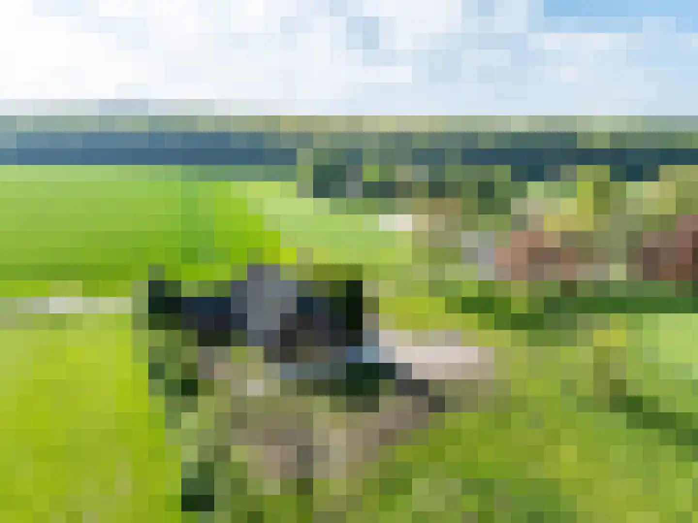 Hogewaldseweg 15 Groesbeek thumbnail 45