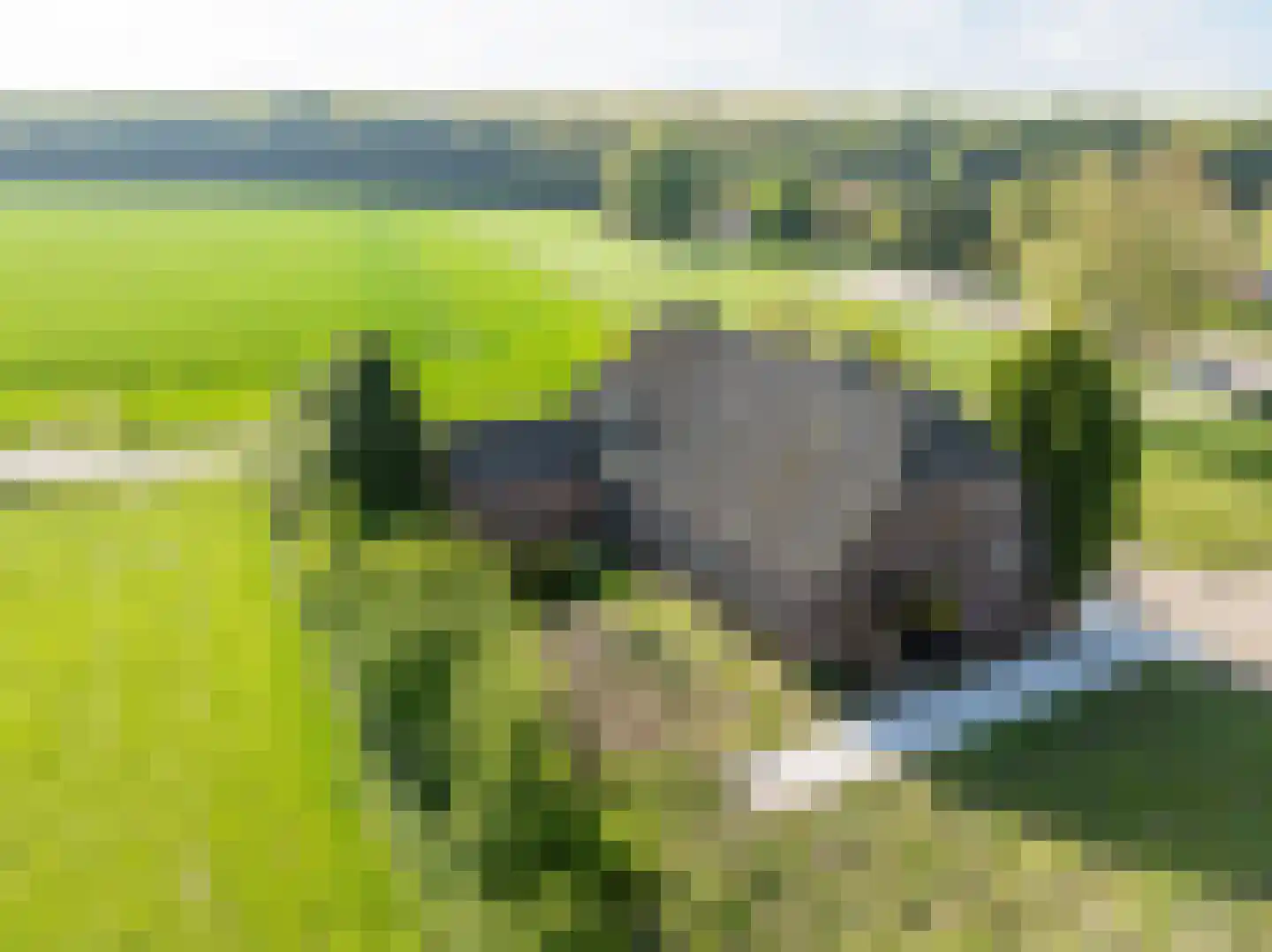 Hogewaldseweg 15 Groesbeek thumbnail 46