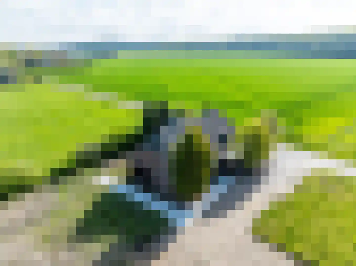 Hogewaldseweg 15 Groesbeek thumbnail 47
