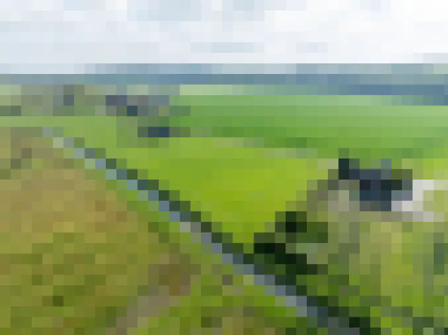 Hogewaldseweg 15 Groesbeek thumbnail 53