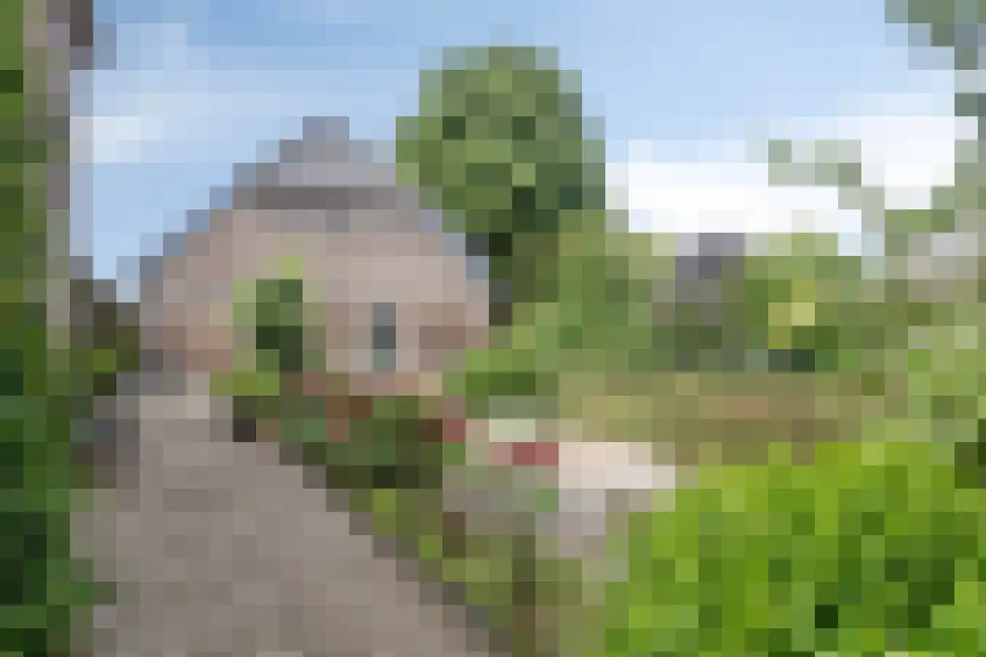 Hogewaldstraat 1 a Beuningen Gld thumbnail 44