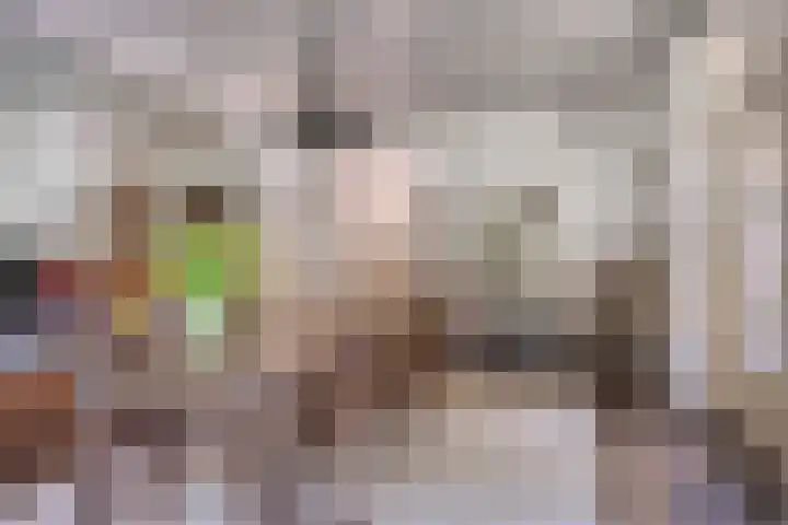 Hogeweg 1 a Wamel thumbnail 15