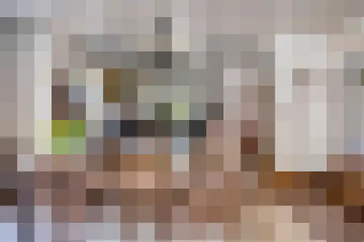 Hogeweg 1 a Wamel thumbnail 16