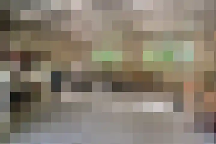 Hogeweg 1 a Wamel thumbnail 35