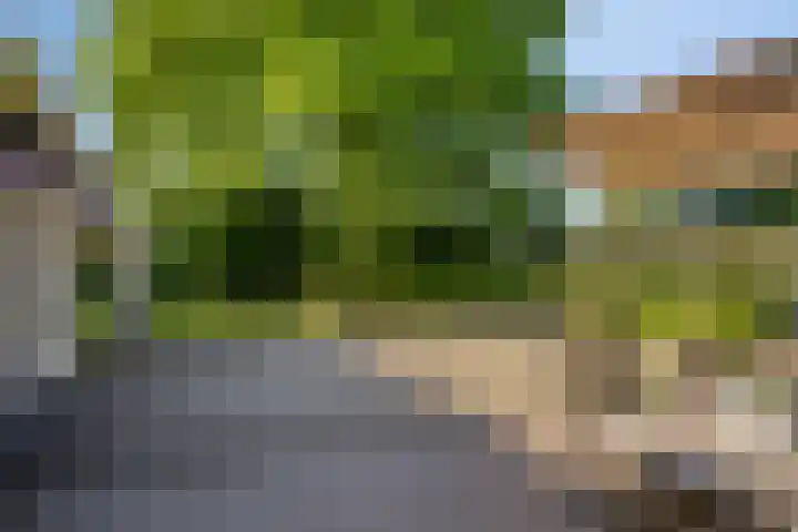 Hogeweg 1 a Wamel thumbnail 37