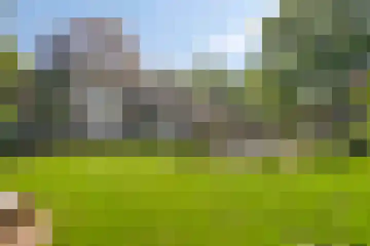 Hogeweg 1 a Wamel thumbnail 38