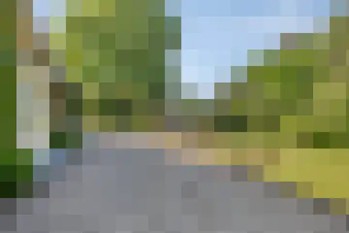Hogeweg 1 a Wamel thumbnail 39