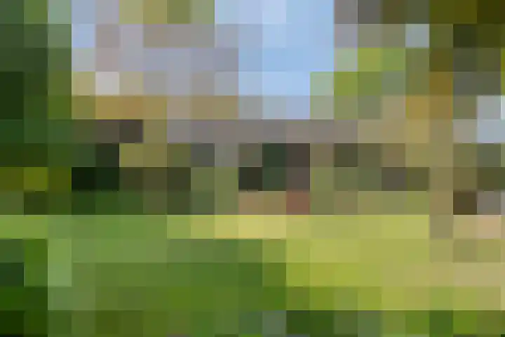 Hogeweg 1 a Wamel thumbnail 4