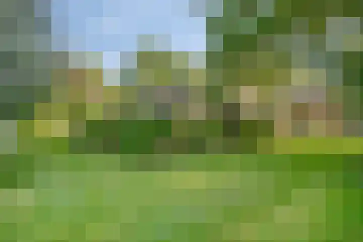 Hogeweg 1 a Wamel thumbnail 40
