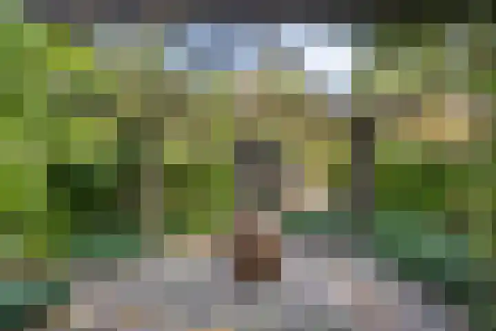 Hogeweg 1 a Wamel thumbnail 41