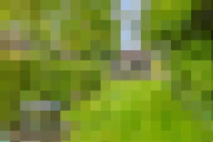 Hogeweg 1 a Wamel thumbnail 42