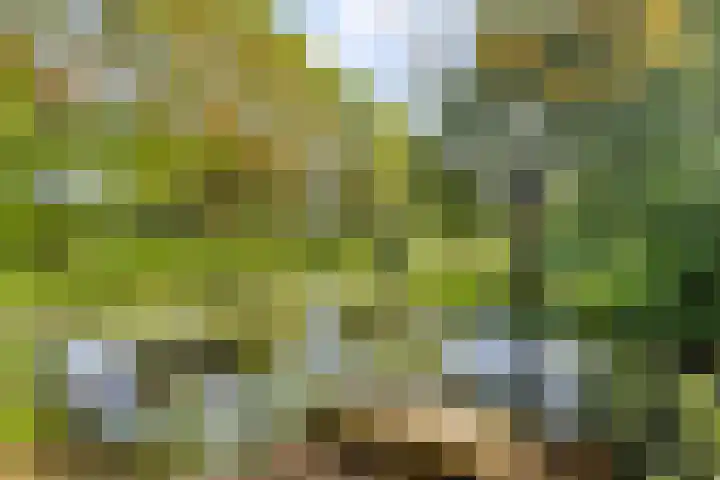 Hogeweg 1 a Wamel thumbnail 45