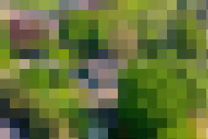 Hogeweg 1 a Wamel thumbnail 47