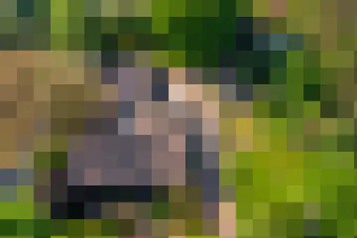 Hogeweg 1 a Wamel thumbnail 48