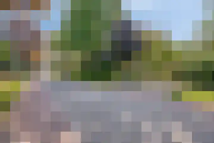 Hogeweg 1 a Wamel thumbnail 49