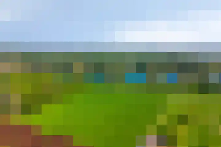 Hogeweg 1 a Wamel thumbnail 50
