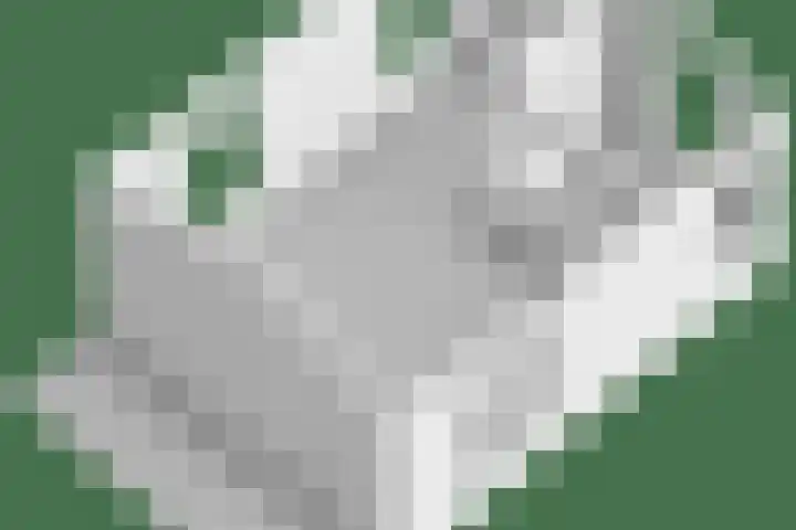 Hogeweg 1 a Wamel thumbnail 55
