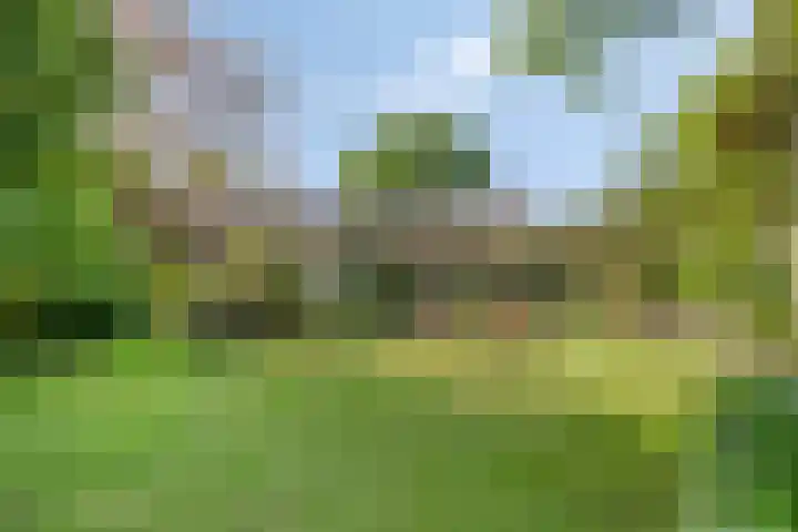 Hogeweg 1 a Wamel thumbnail 6