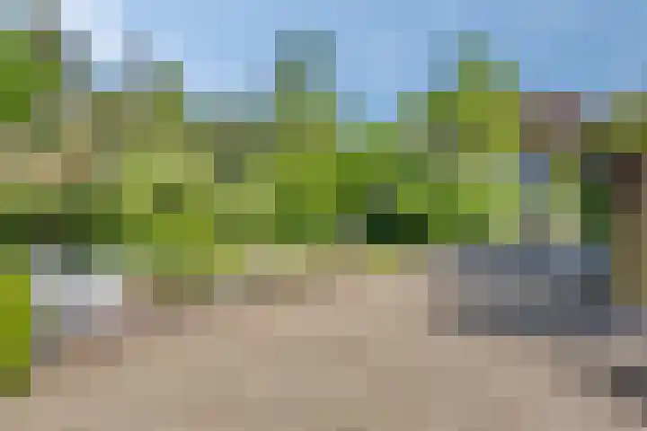 Hogeweg 1 a Wamel thumbnail 7