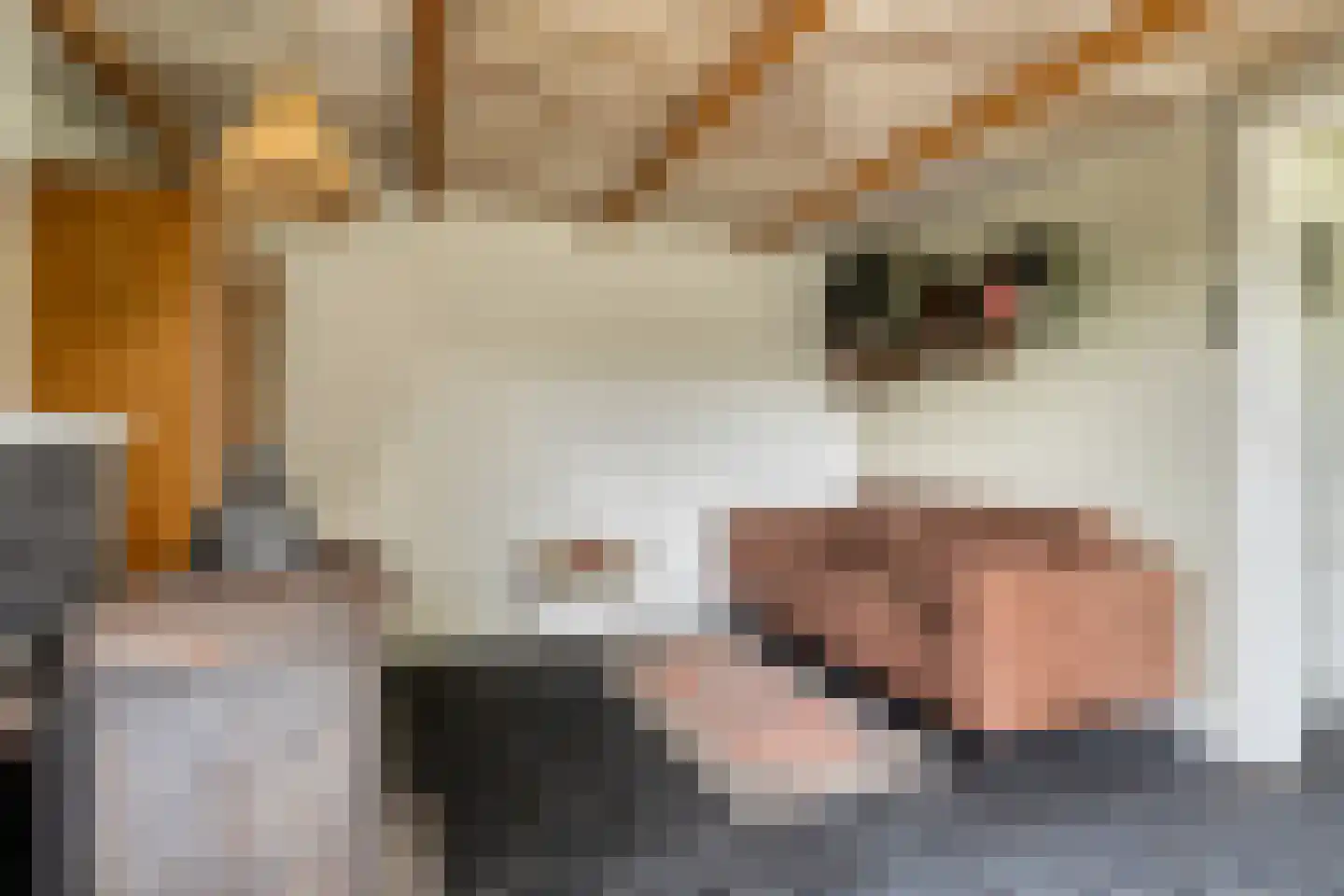 Hogeweg 1 Hoofdplaat thumbnail 10
