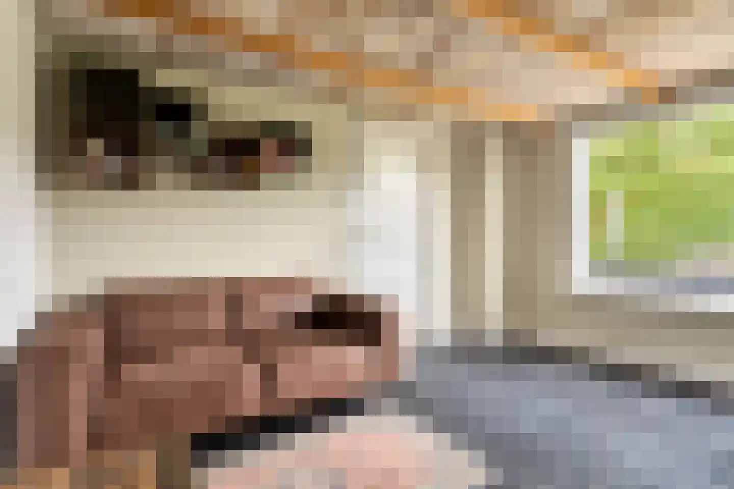 Hogeweg 1 Hoofdplaat thumbnail 11