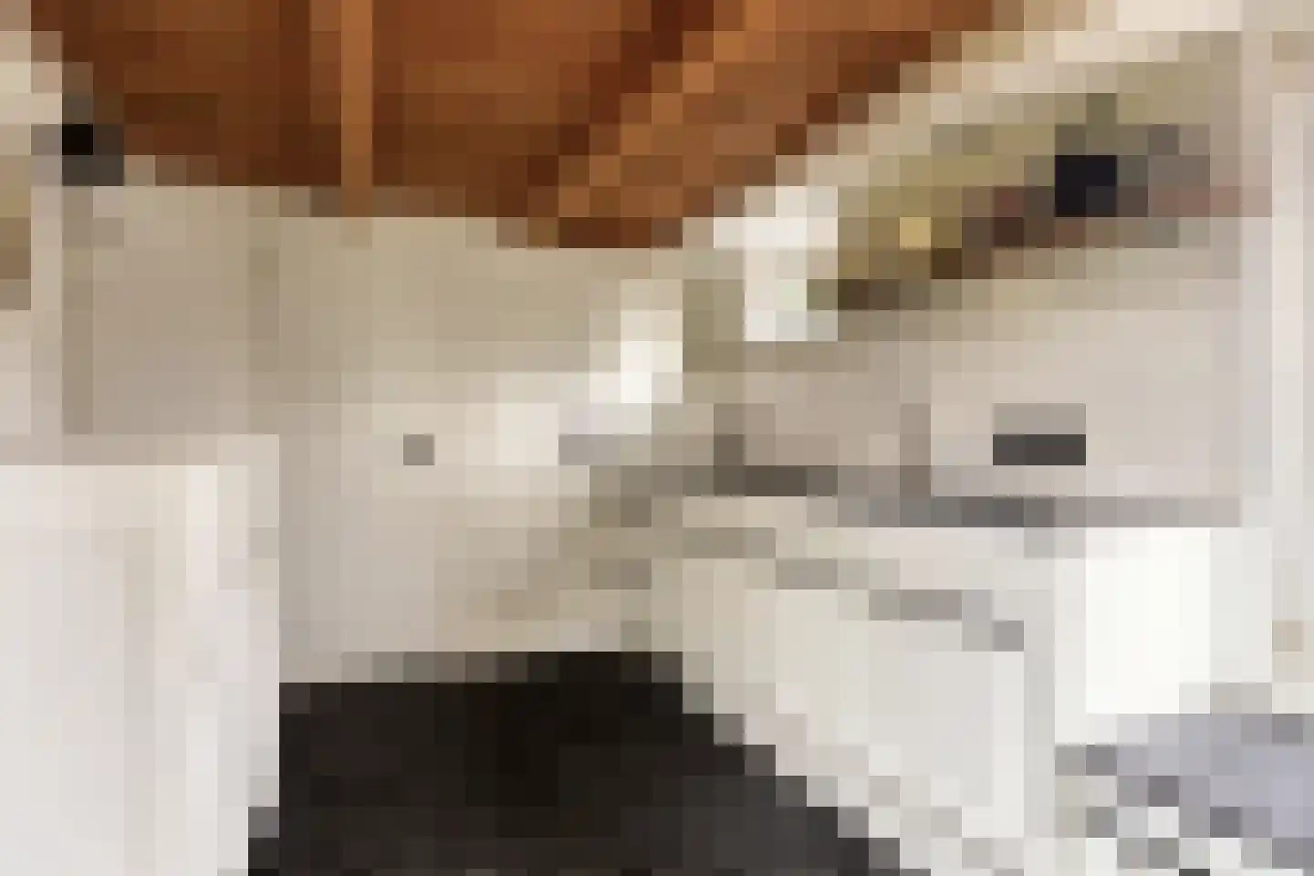 Hogeweg 1 Hoofdplaat thumbnail 13