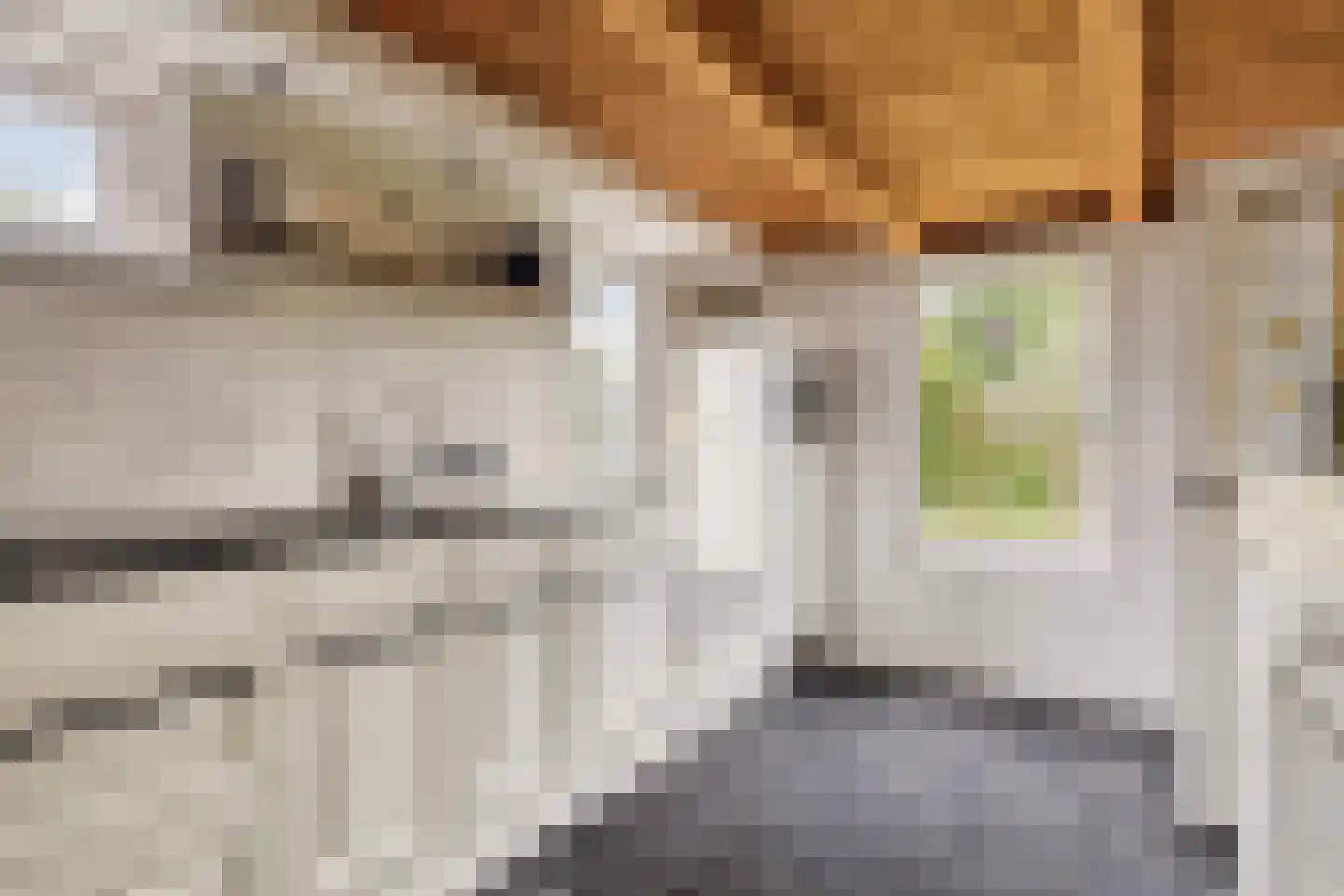 Hogeweg 1 Hoofdplaat thumbnail 14