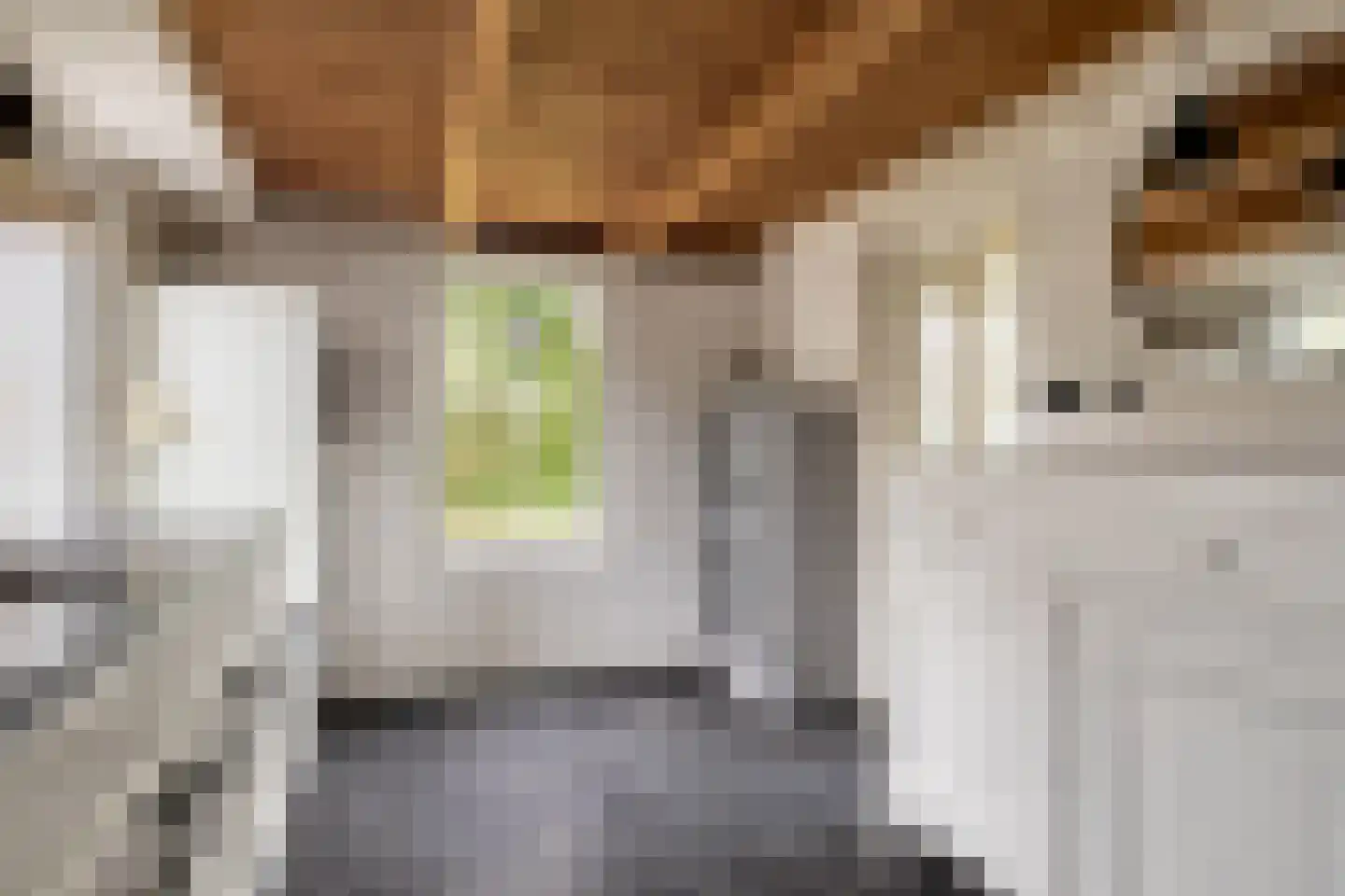 Hogeweg 1 Hoofdplaat thumbnail 16