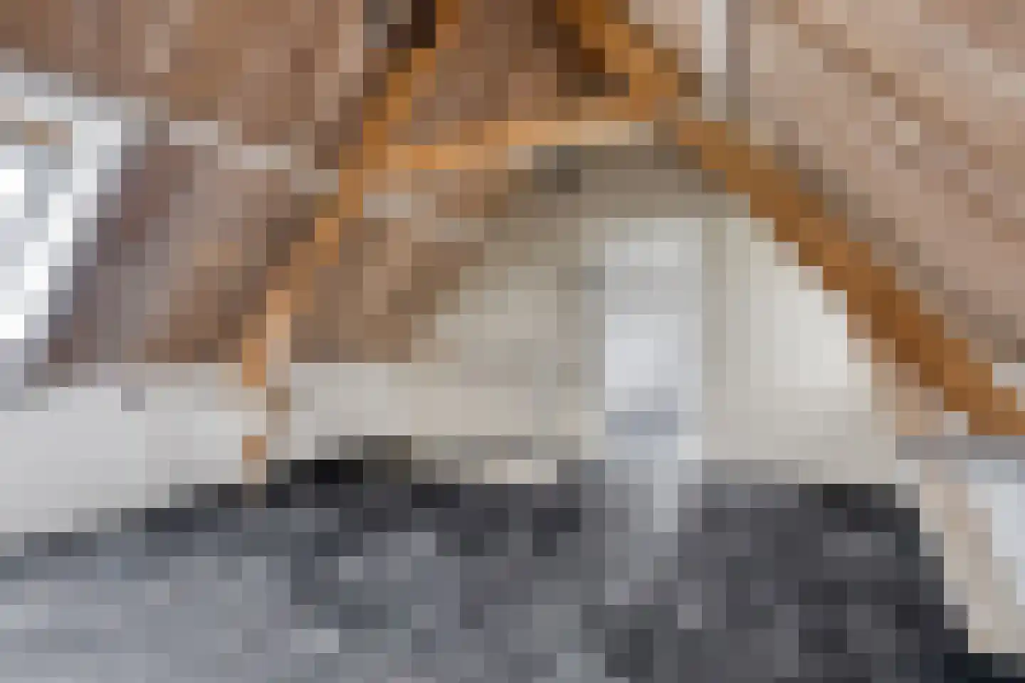 Hogeweg 1 Hoofdplaat thumbnail 21