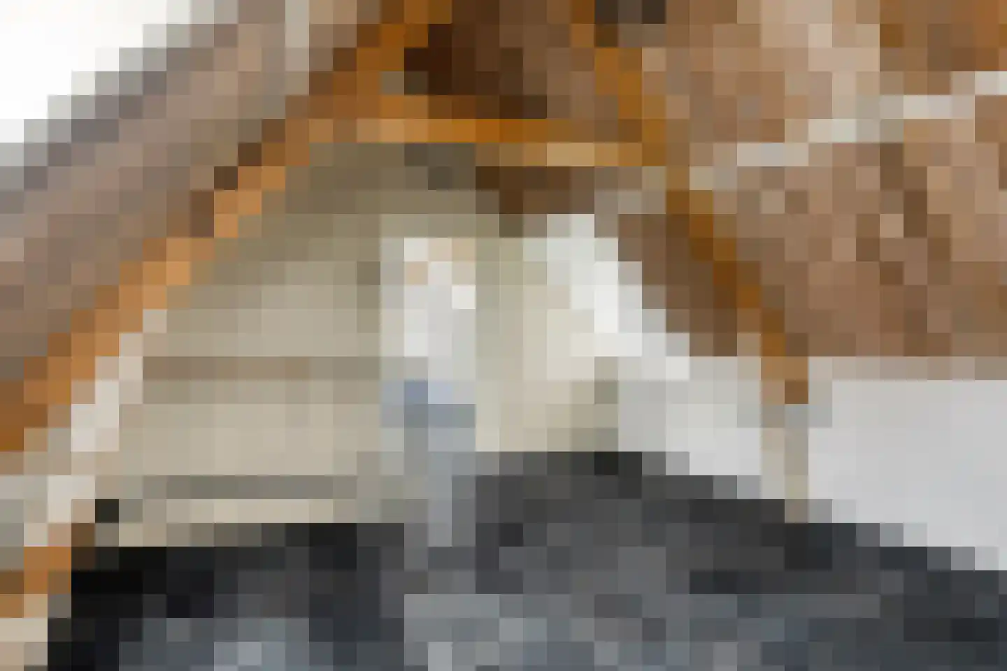 Hogeweg 1 Hoofdplaat thumbnail 22
