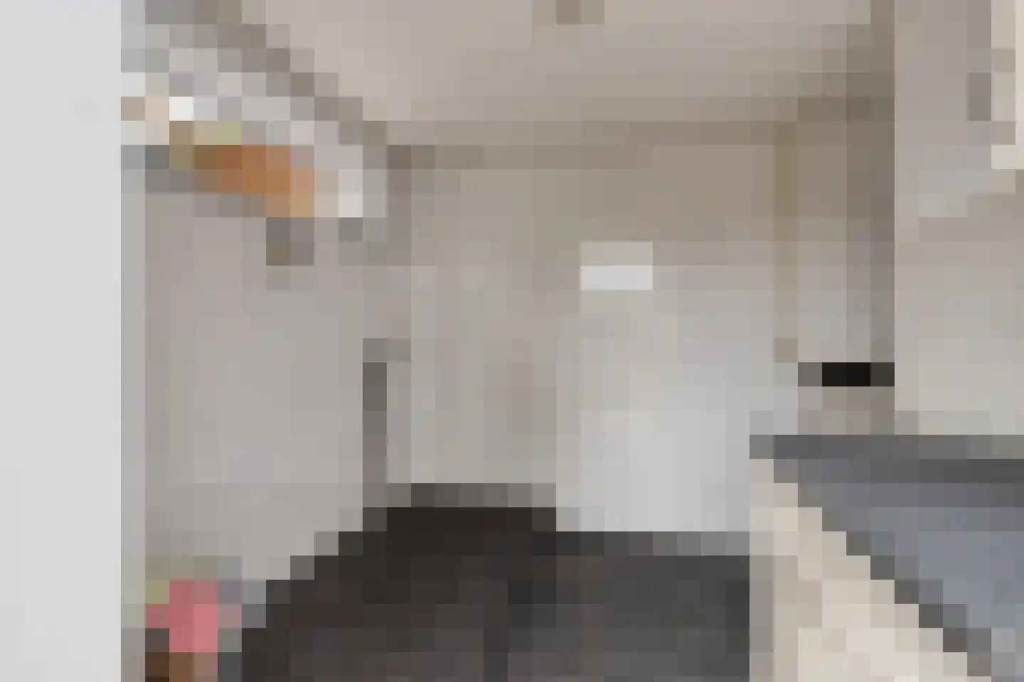 Hogeweg 1 Hoofdplaat thumbnail 32