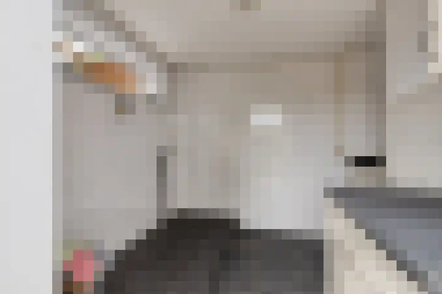 Hogeweg 1 Hoofdplaat thumbnail 32