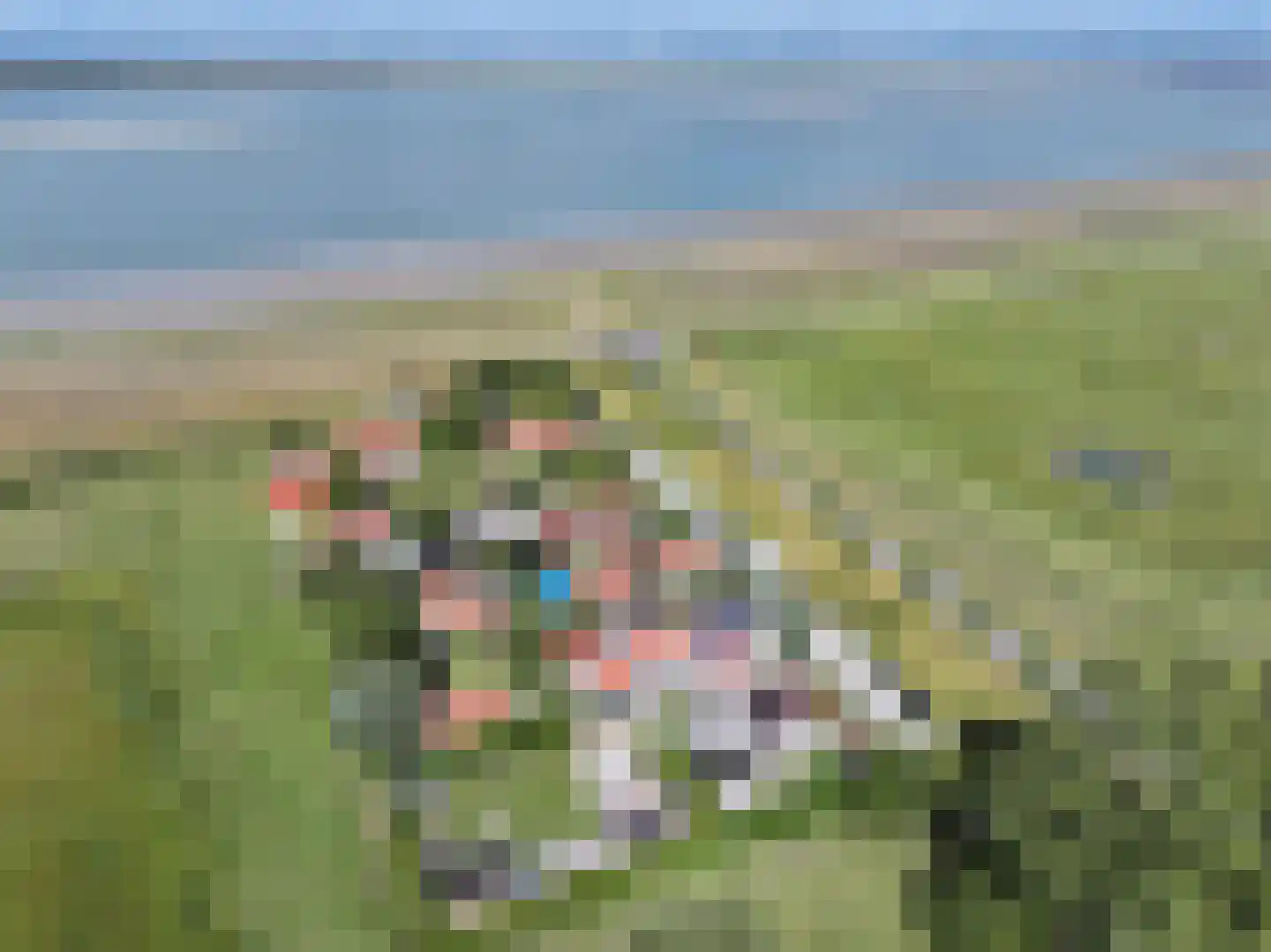 Hogeweg 1 Hoofdplaat thumbnail 4