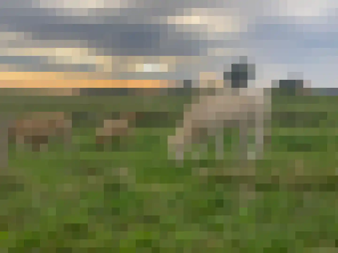 Hogeweg 1 Hoofdplaat thumbnail 41