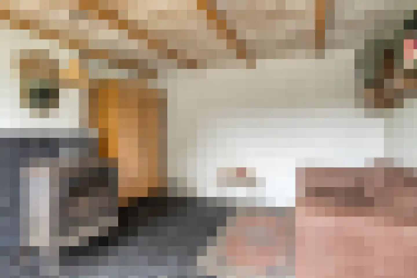 Hogeweg 1 Hoofdplaat thumbnail 9