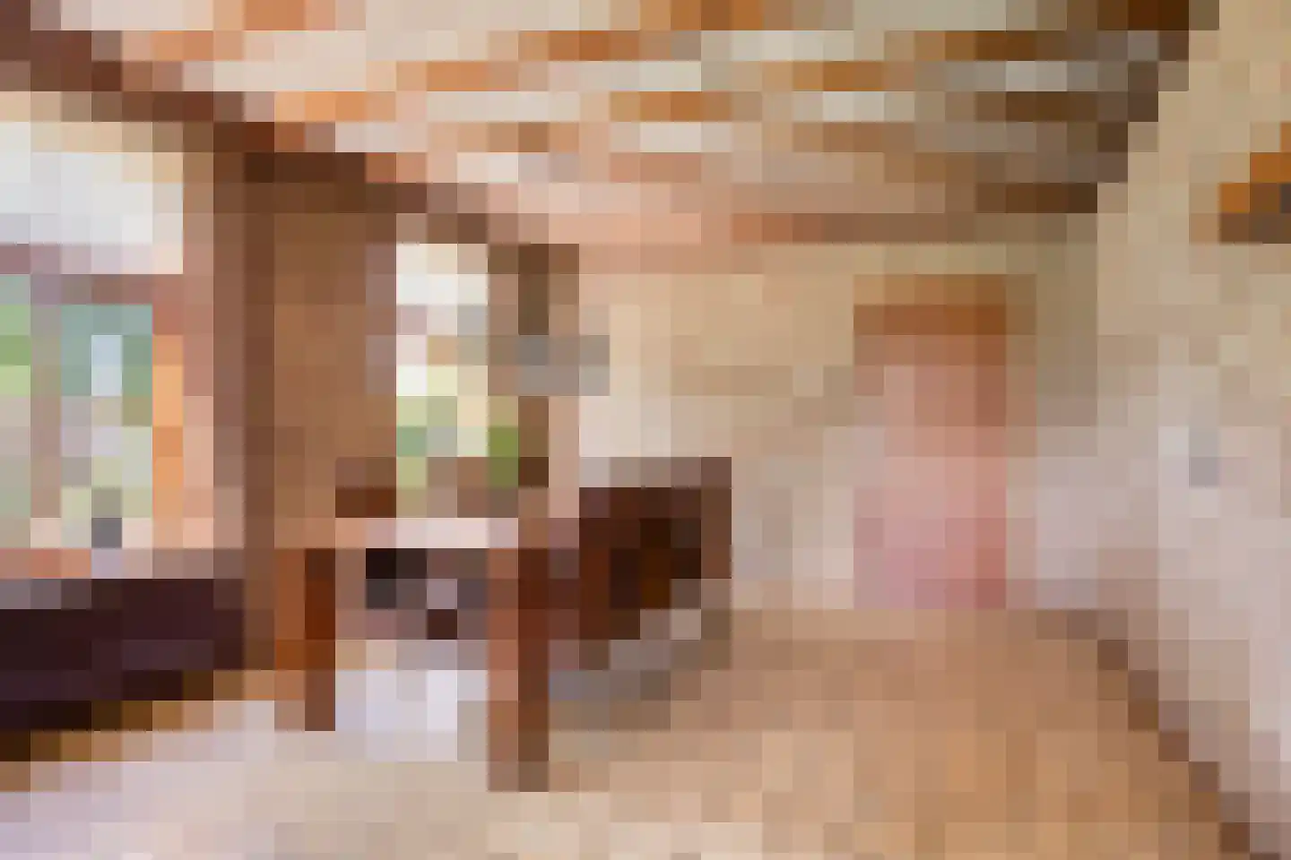 Hogeweg 10 Duiven thumbnail 17