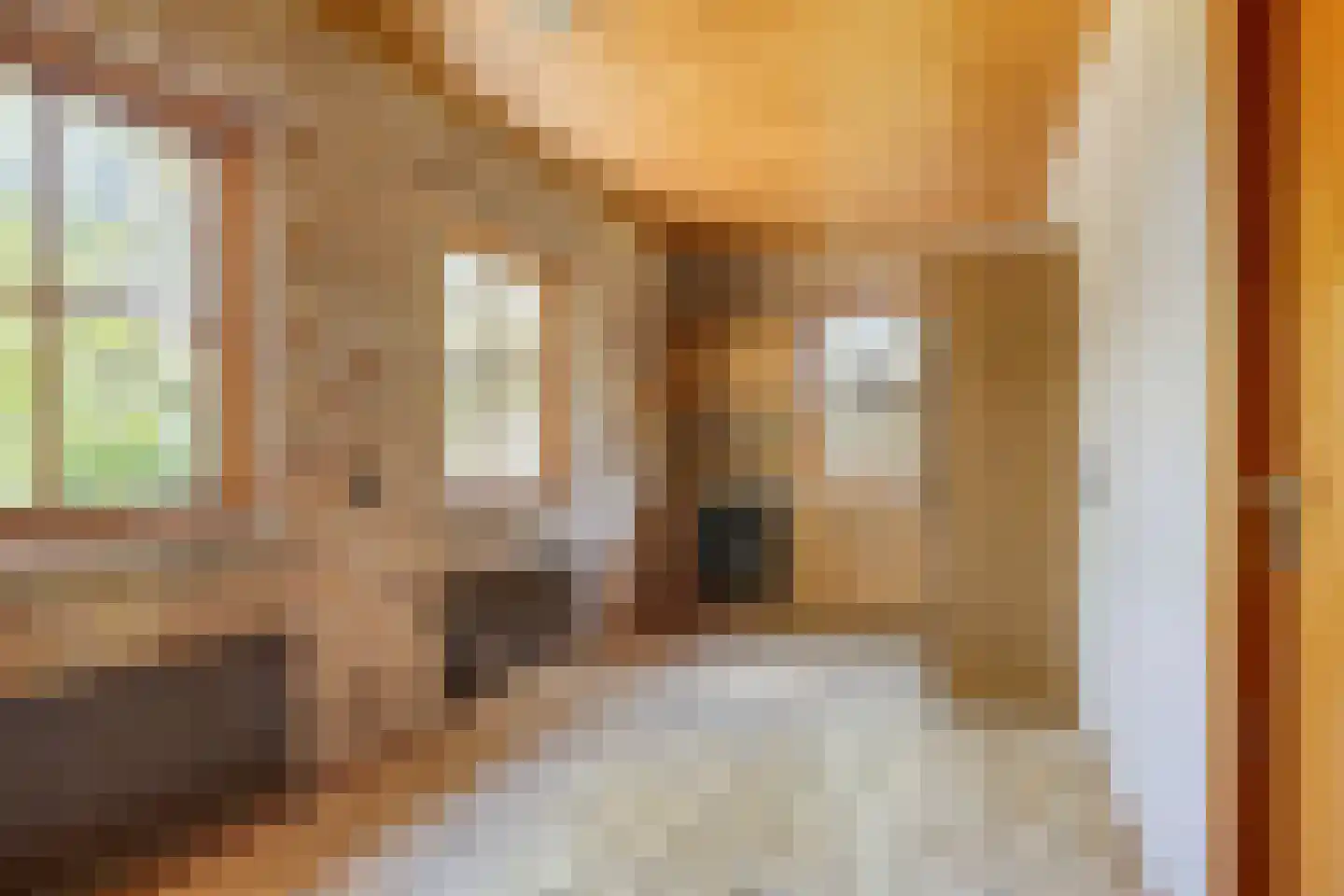Hogeweg 10 Duiven thumbnail 31