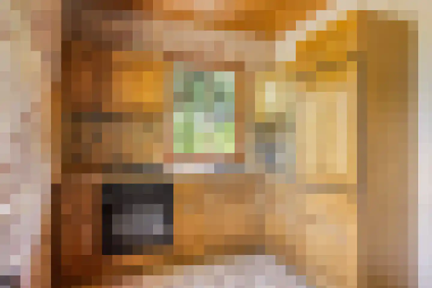 Hogeweg 10 Duiven thumbnail 32