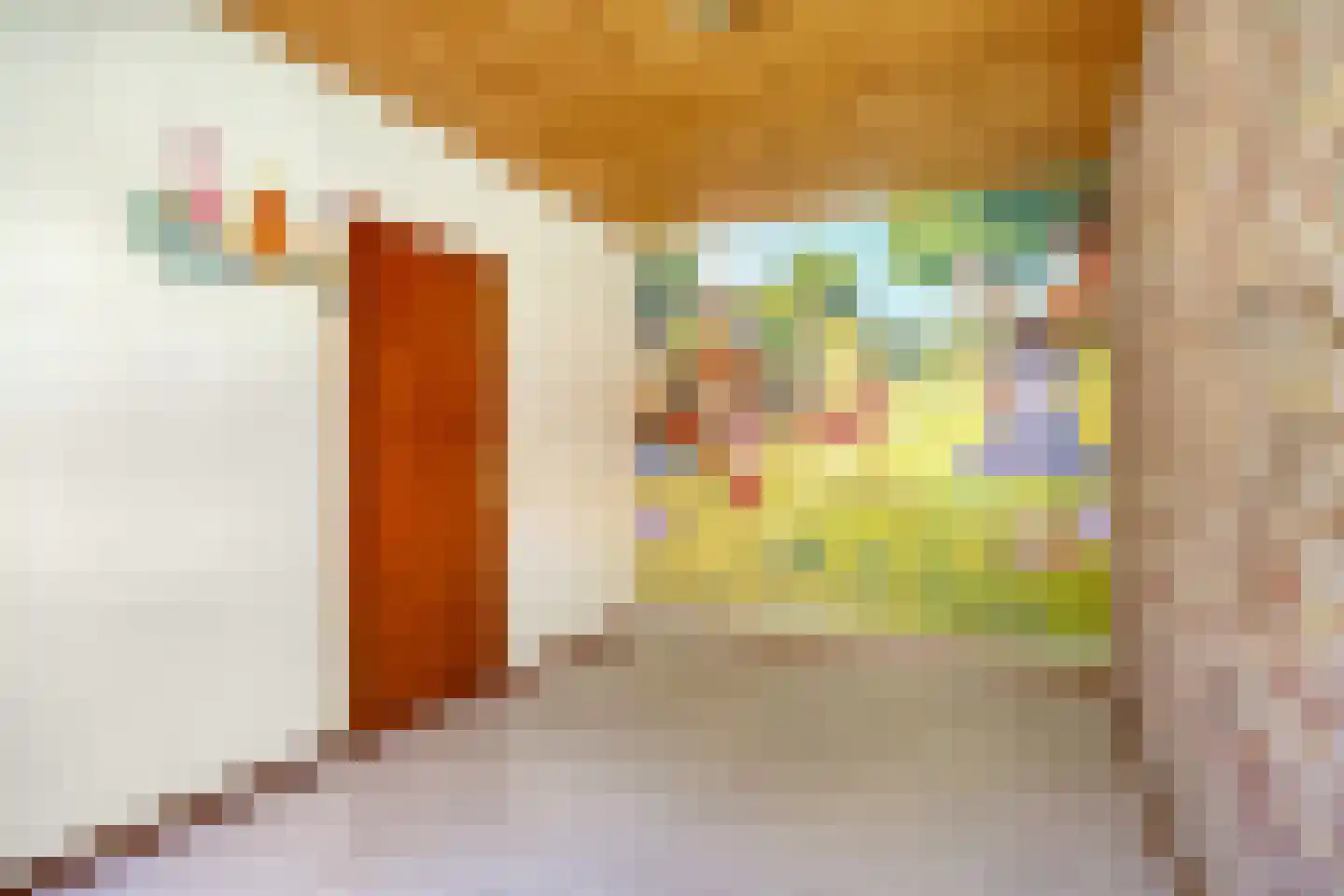 Hogeweg 10 Duiven thumbnail 35