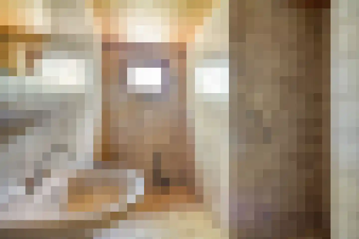 Hogeweg 10 Duiven thumbnail 36