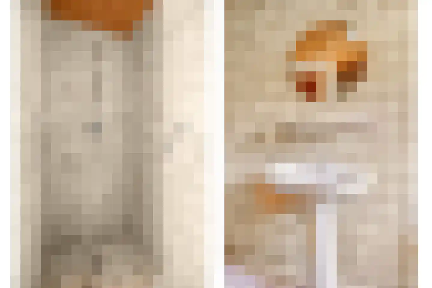 Hogeweg 10 Duiven thumbnail 39