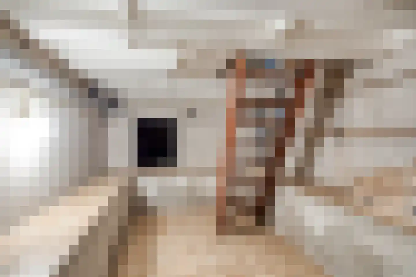Hogeweg 10 Duiven thumbnail 42